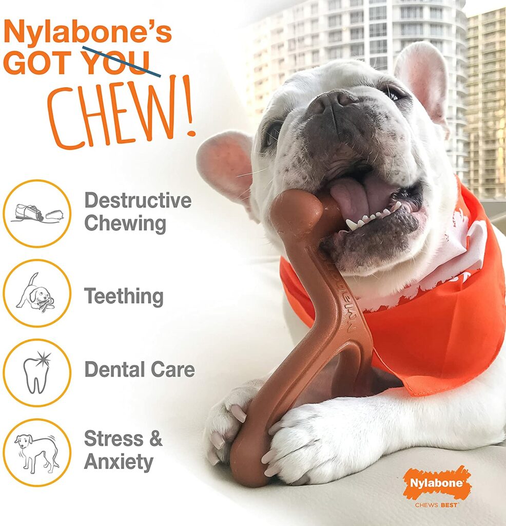 Best French Bulldog Toys - Playtime For Your Frenchie - Nylabone Triple Pack Dog Chew