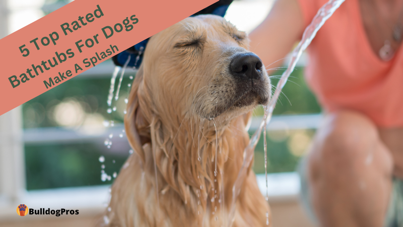 5 Top Rated Bathtubs For Dogs
