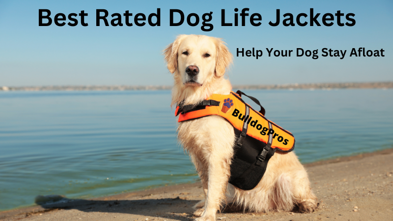 Best Rated Dog Life Jackets