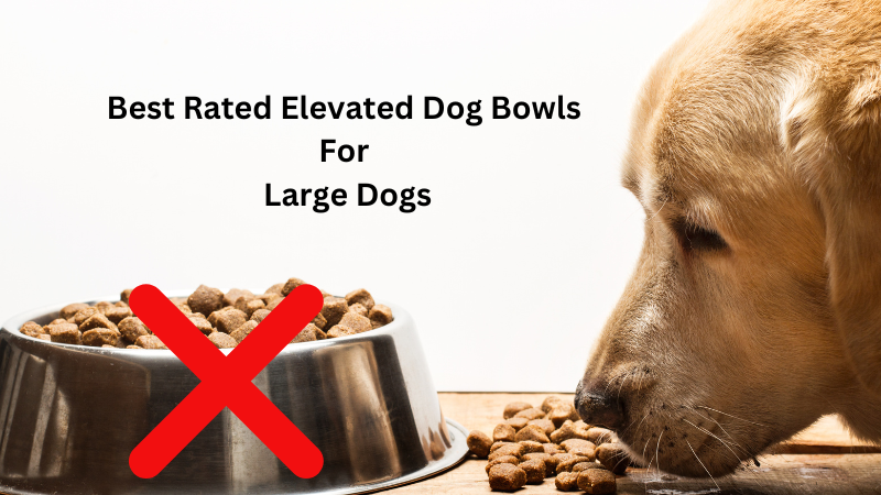 Elevated Dog Bowls For Large Dogs