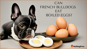 Can French Bulldogs Eat Boiled Eggs