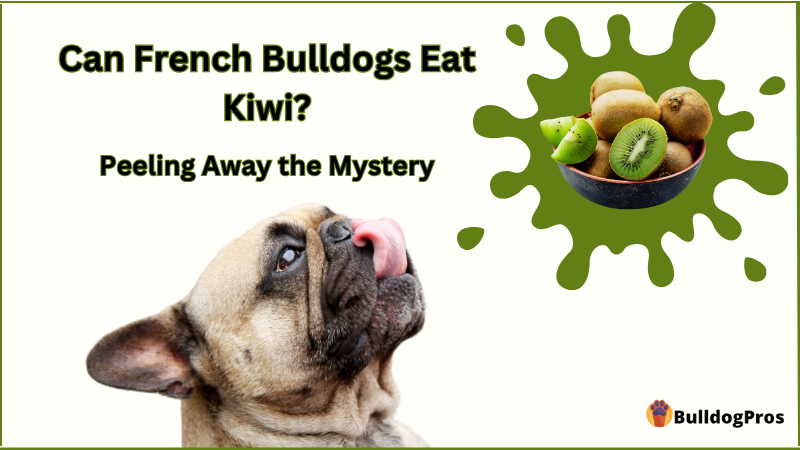 Can French Bulldogs Eat Kiwi