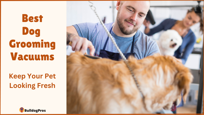 5 Best Dog Grooming Vacuums: Keep Your Pet Looking Fresh