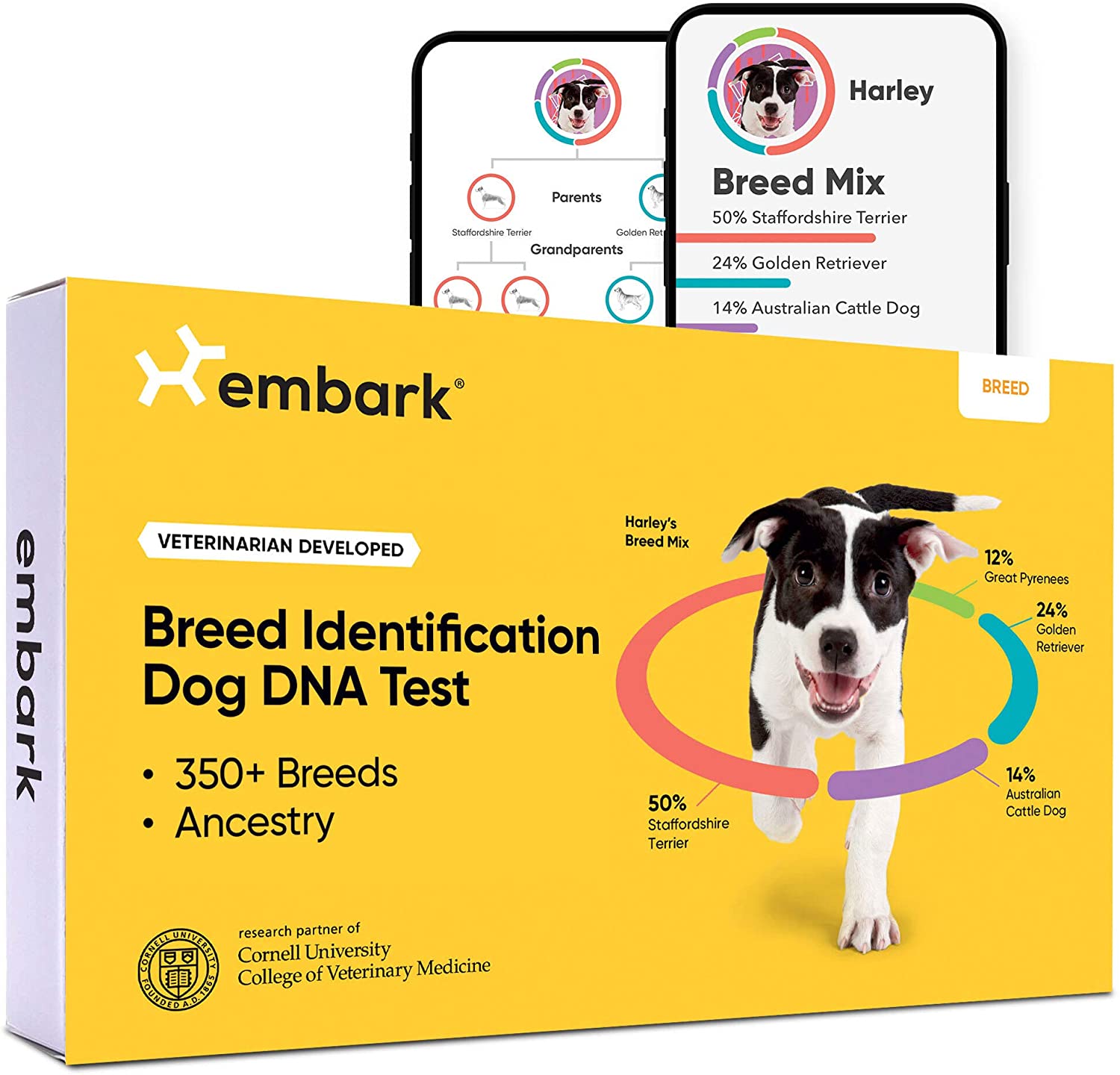 DNA Test Kits For Dogs - Buying Guide - Embark Breed Identification