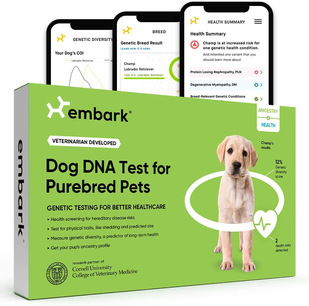 DNA Test Kits For Dogs - Buying Guide - Embark Purebred