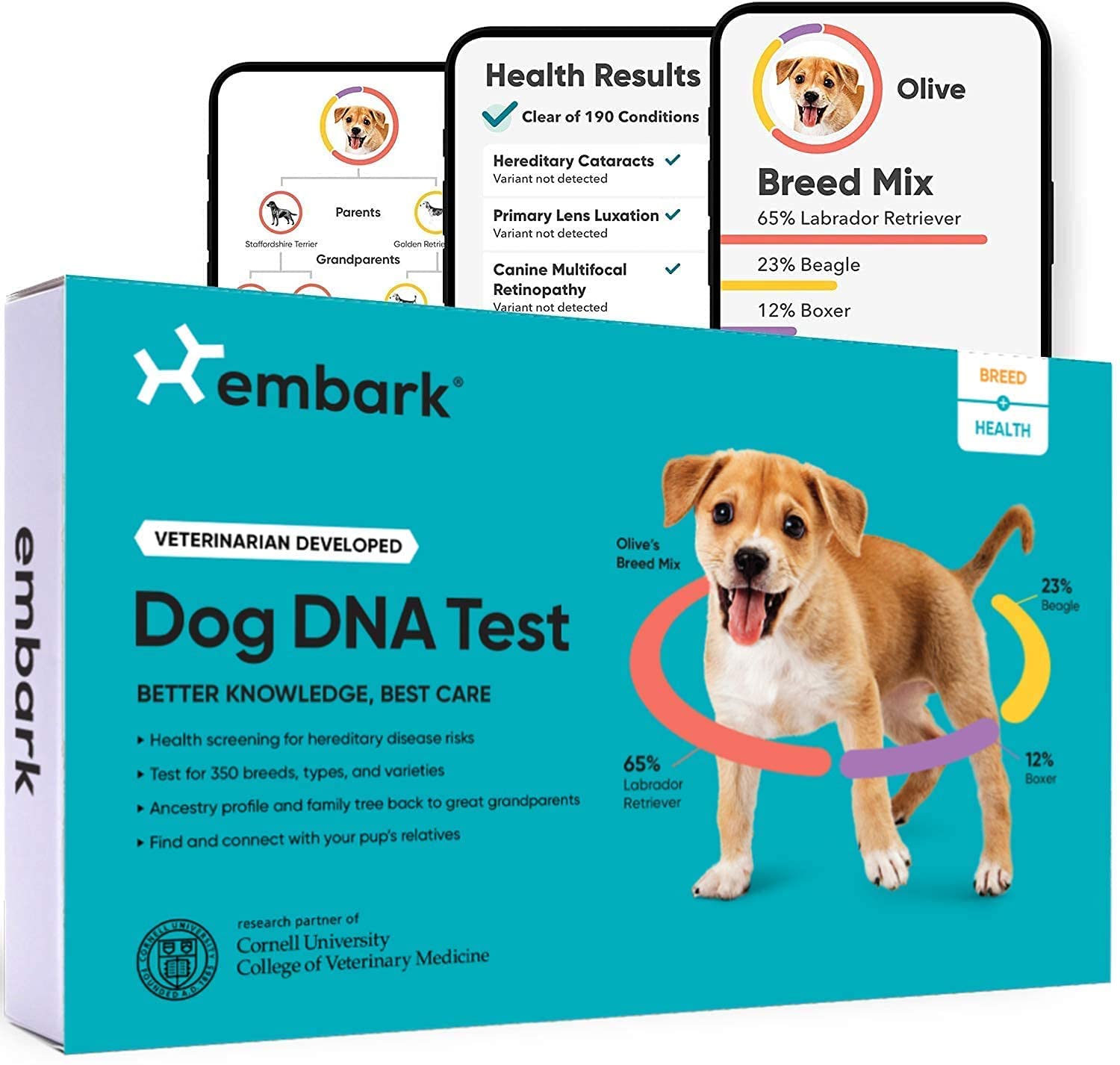DNA Test Kits For Dogs - Buying Guide - Embark
