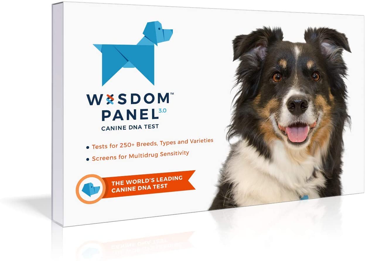 DNA Test Kits For Dogs - Buying Guide - Mars