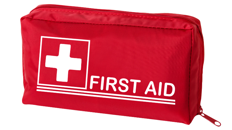 Pawsome Adventures Mastering the Dog Day Pack Essentials - First Aid Kit