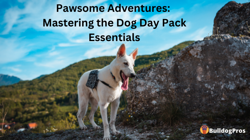 Pawsome Adventures Mastering the Dog Day Pack Essentials