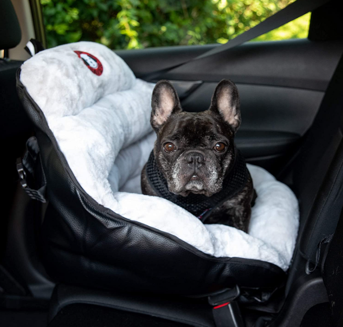 PupSaver Booster Car Seat - Review