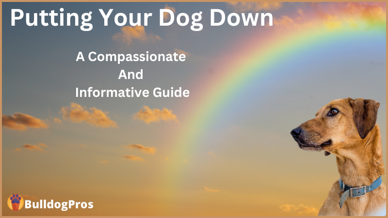 Putting Your Dog Down