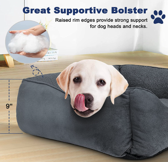5 Best Calming Beds for Dogs: Reviews and Ratings - Laadd