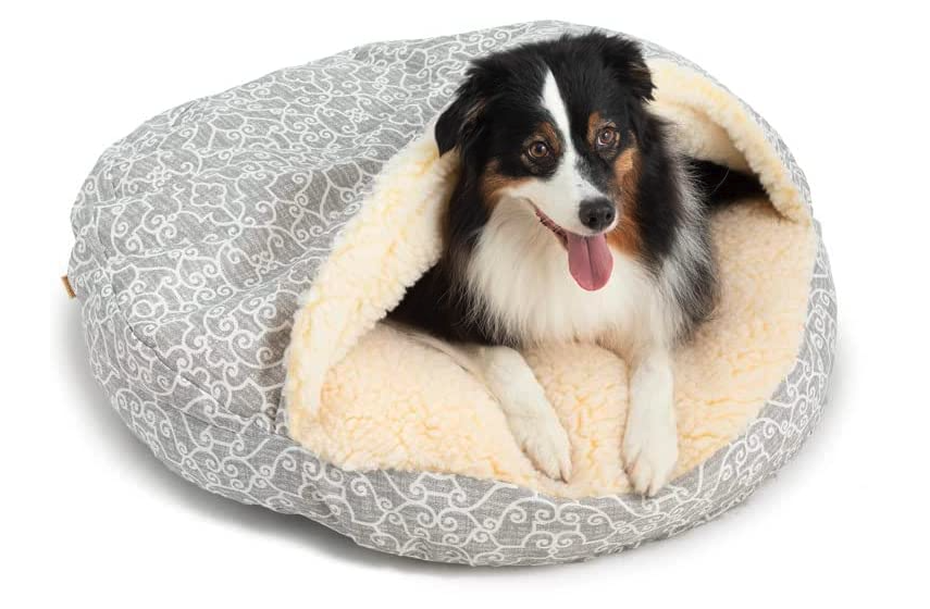 5 Best Calming Beds for Dogs: Reviews and Ratings - Snoozer