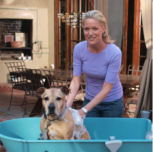 Bathtubs for Dogs - Booster Bath