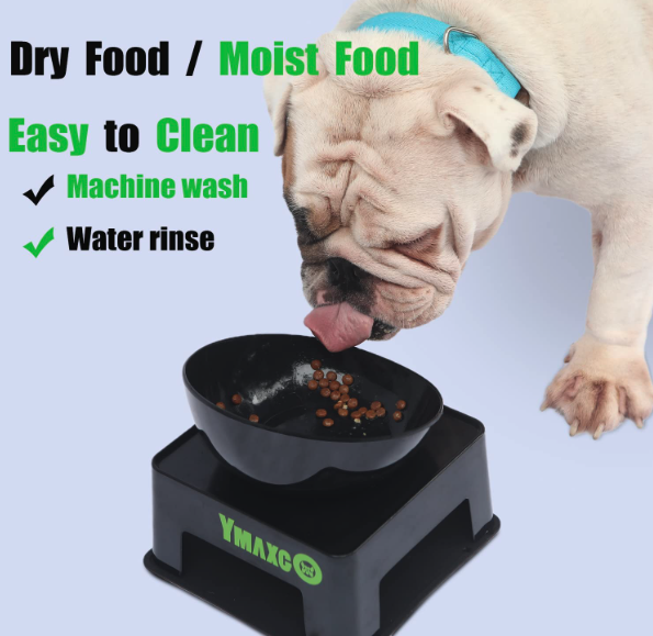 Best Dog Bowls For Flat Faced Dogs - YMAXGO