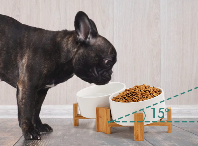 Best Dog Bowls For Flat Faced Dogs - SpunkyJunky