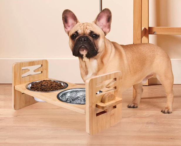 Best Dog Bowls For Flat Faced Dogs - POLTSAK
