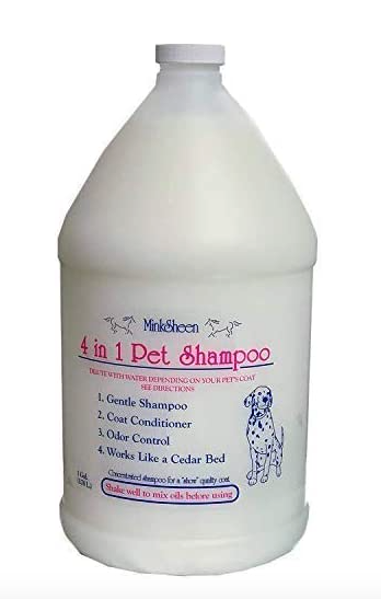 Best Shampoo For French Bulldogs - MinkSheen