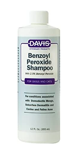 Best Shampoo for French Bulldogs - Davis Benzoyl Peroxide Shampoo