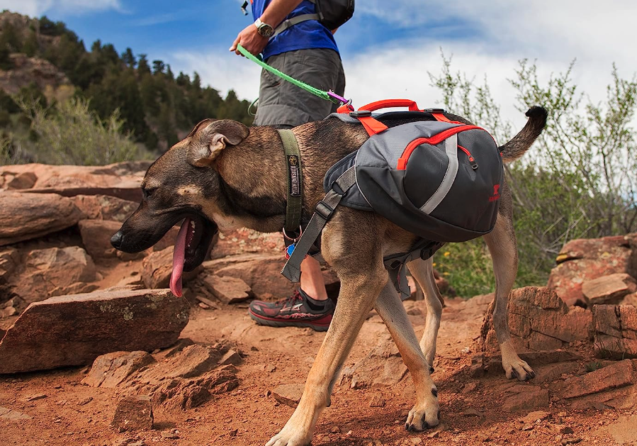 Best Dog Backpacks for Hiking - Mountainsmith
