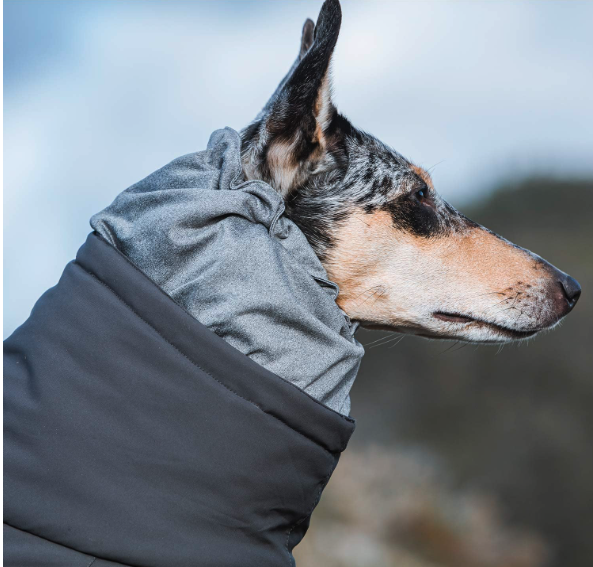 Best Coats For Dogs - Hurtta