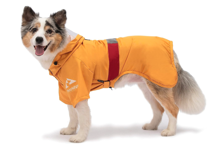 Best Coats for Dogs - Petridge