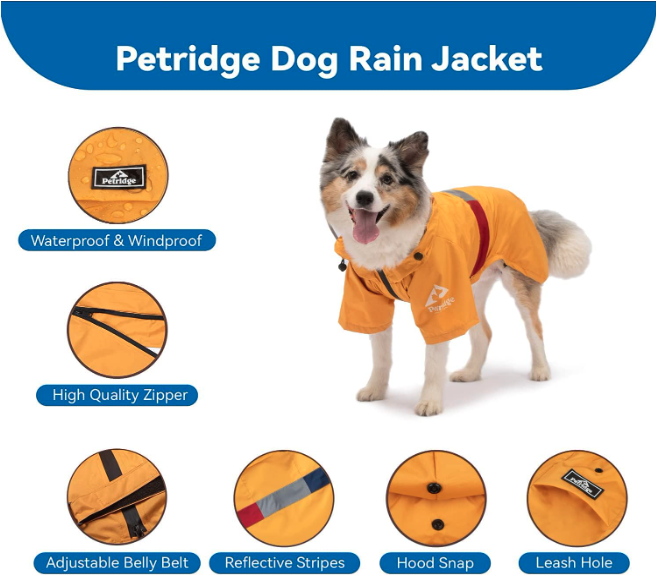 Best Coats for Dogs - Petridge