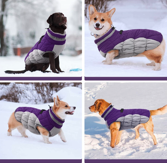 Best Coats for Dogs - FUAMEY