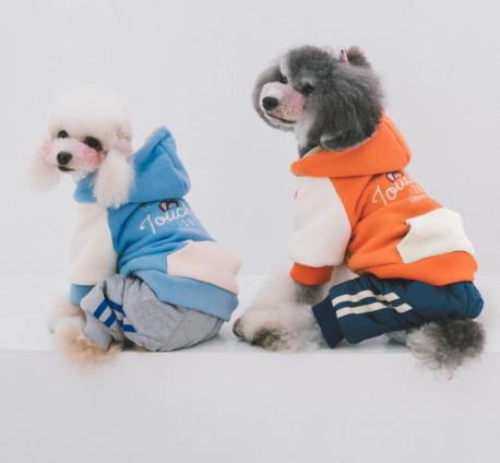 Best Dog Sweaters for Small Dogs - Touchdog