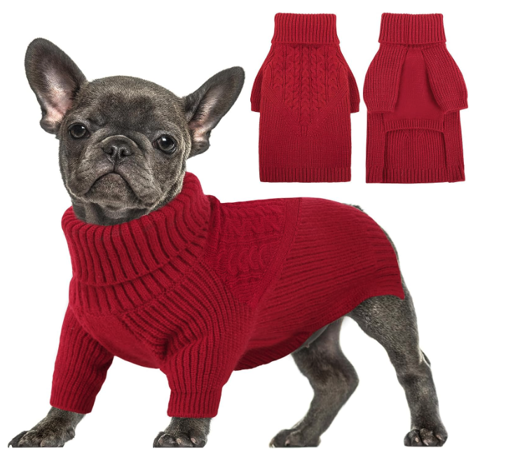 Best Dog Sweaters for Small Dogs - Queenmore
