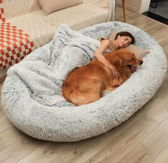 Best Human Dog Beds -  DMTINTA