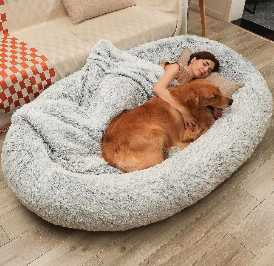 Best Human Dog Beds - DMTINTA