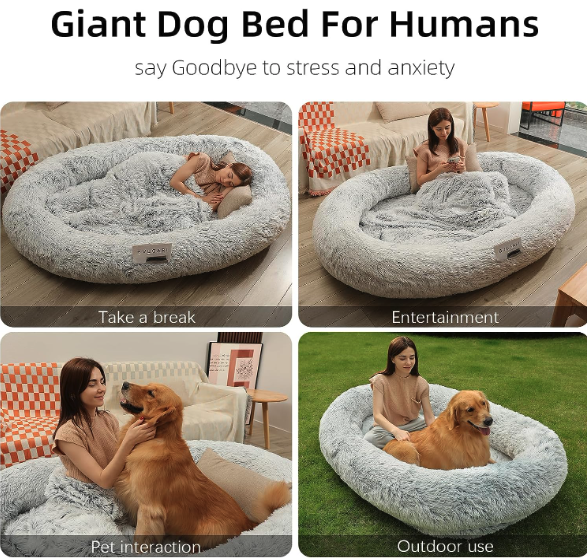 Best Human Dog Beds -  DMTINTA