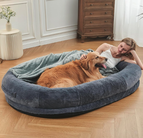 Best Human Dog Beds - ILPEOD