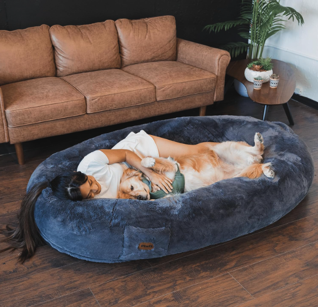 Best Human Dog Beds - Plufl