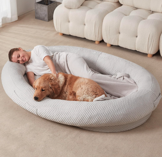 Best Human Dog Beds - Homguava 