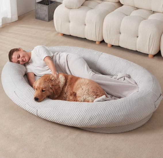 Best Human Dog Beds - Homguava