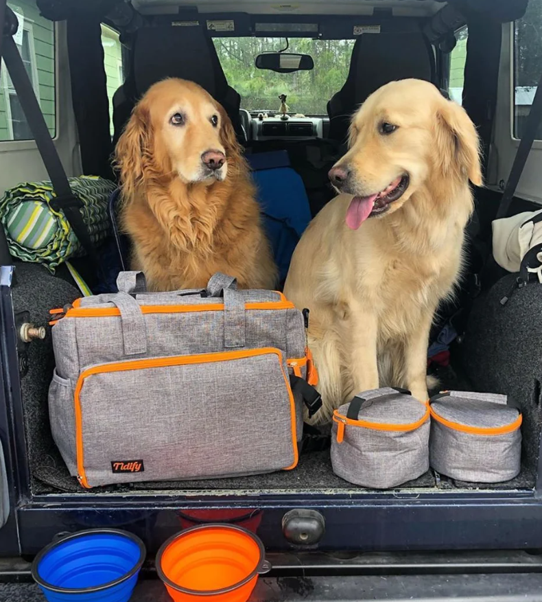 Best Dog Travel Bags - Tidify