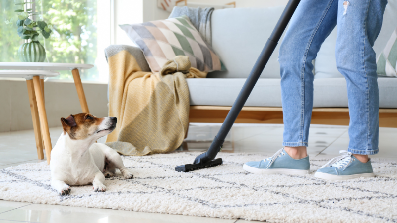 Choosing The Right Vacuum For Dog Hair
