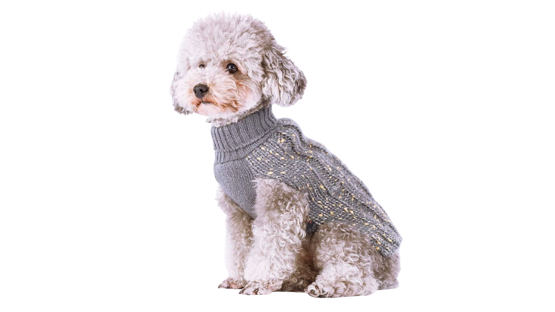 Best Dog Sweaters for Small Dogs - Kyeese