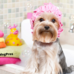 The Perfect Dog Bath Tub: Choosing the Right One