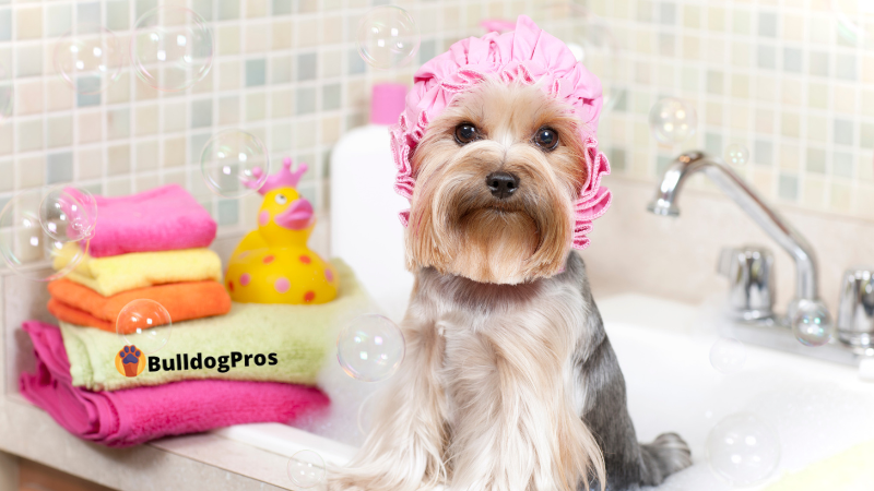 The Perfect Dog Bath Tub: Choosing the Right One