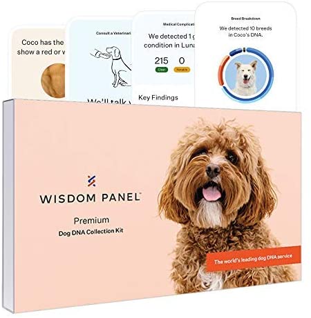 DNA Test Kits For Dogs - Buying Guide - Wisdom Premium