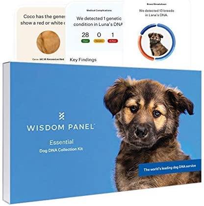 DNA Test Kits For Dogs - Buying Guide - Wisdom