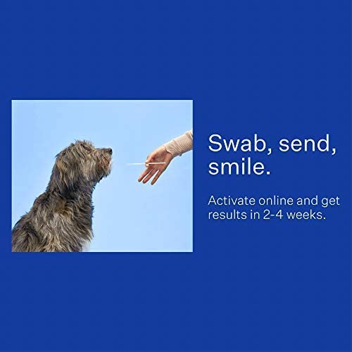 DNA Test Kits For Dogs - Buying Guide - Wisdom Panel
