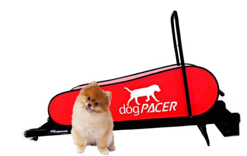 Best Rated Dog Treadmills - dogpacer mini