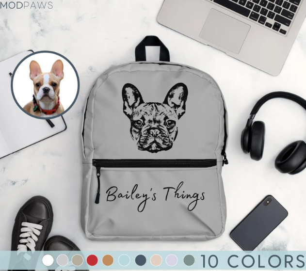Best Dog Travel Bags - Modpaws